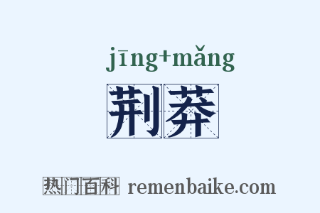 荆莽是什么意思的图片